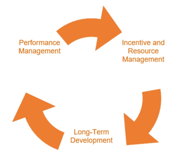 Lifecycle